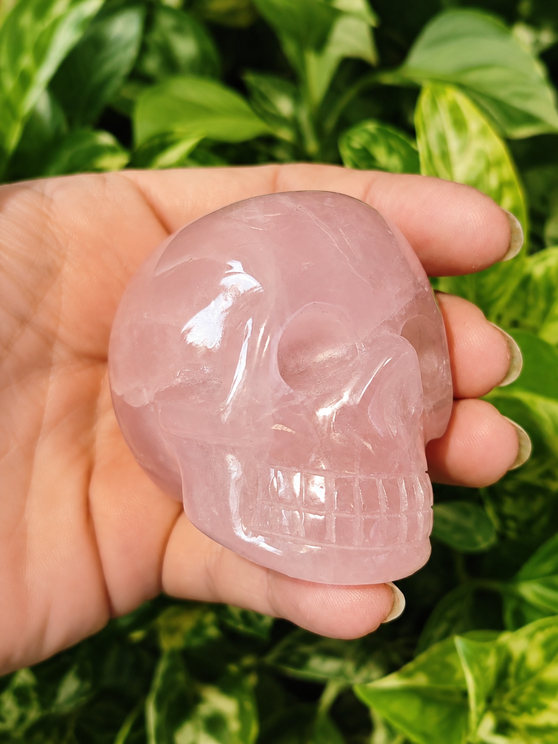 Crâne en quartz rose de qualité supérieure – 200 g