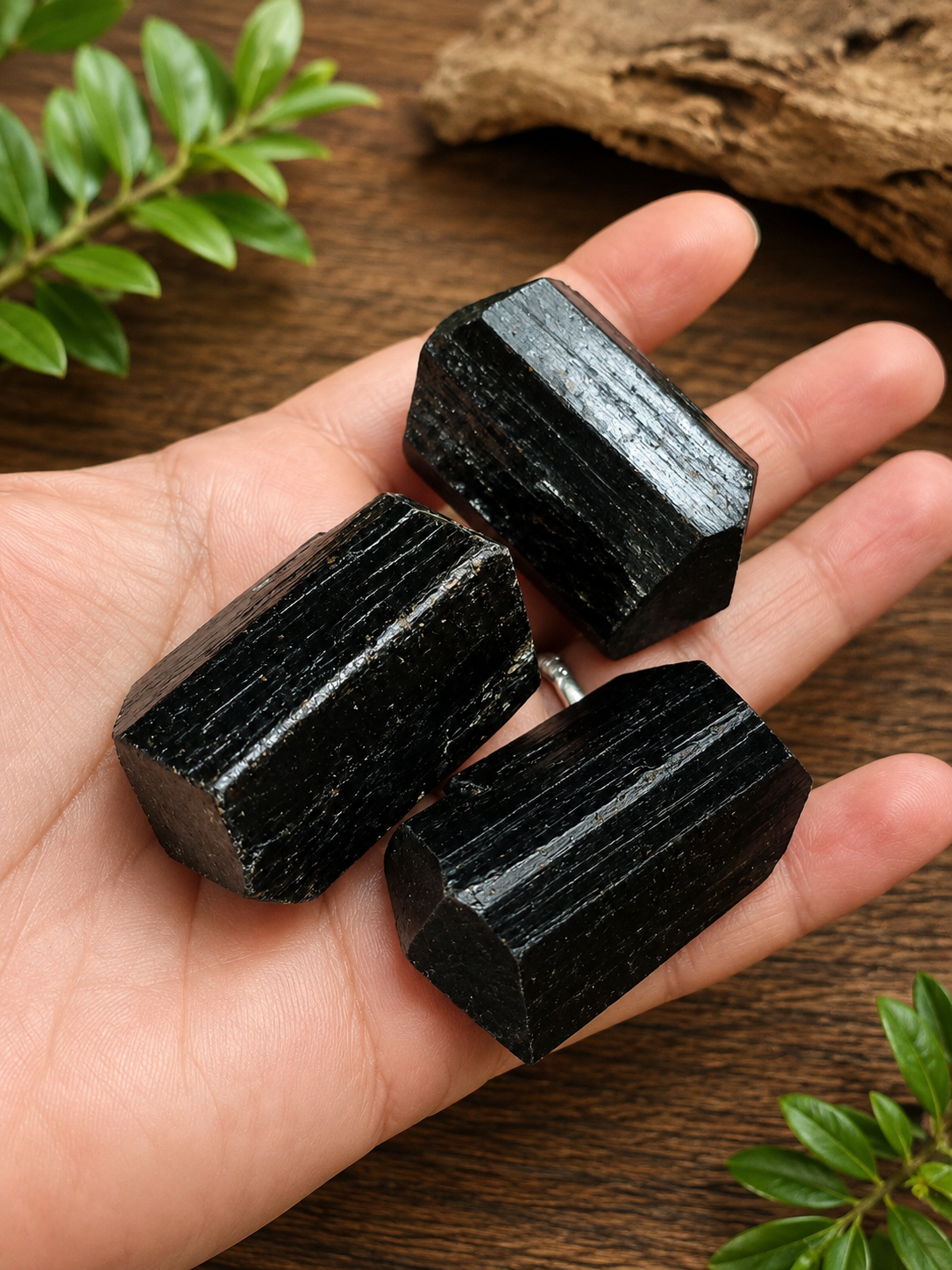 Tourmaline noire biterminée – Népal