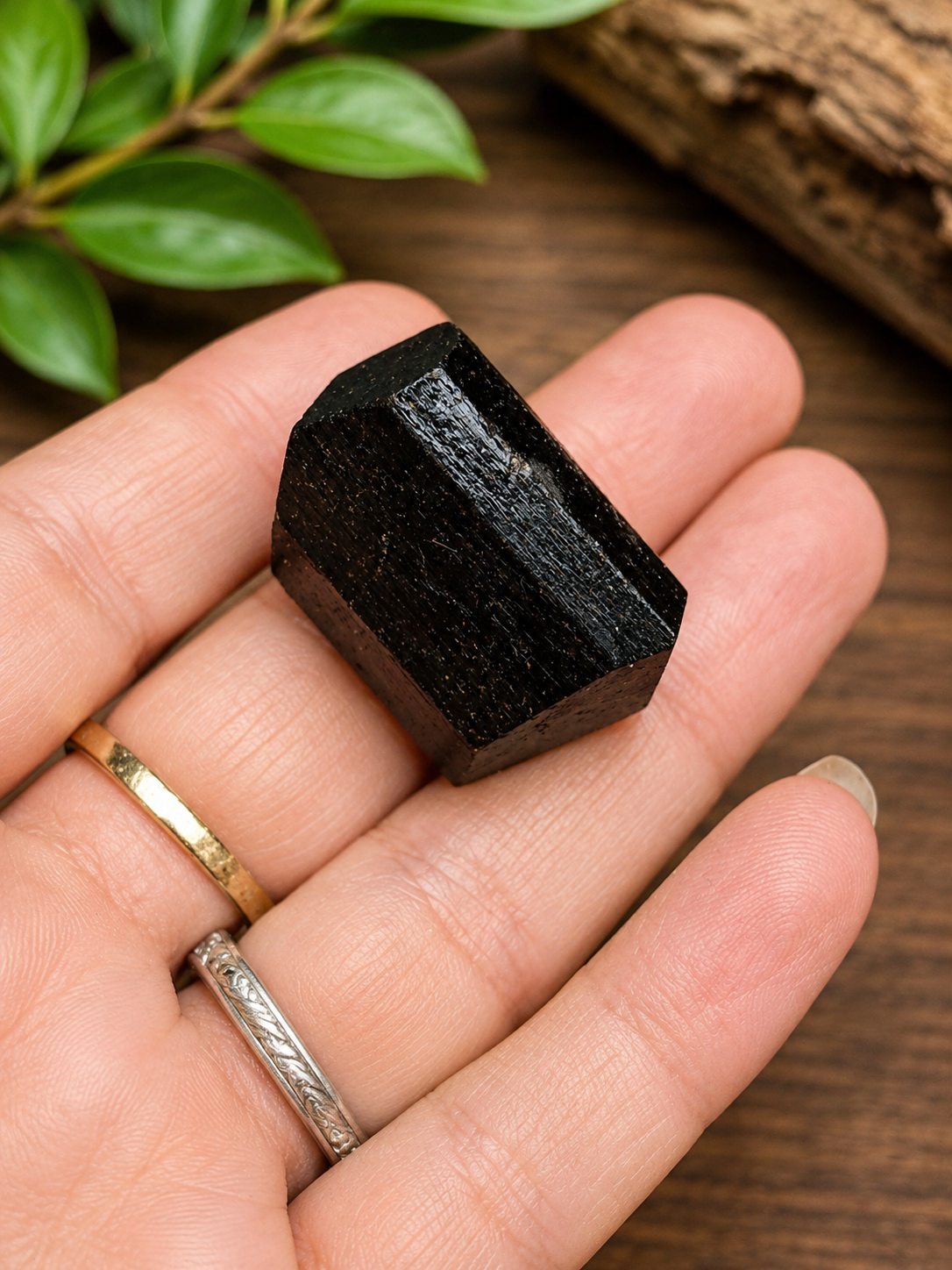 Petite tourmaline noire biterminée – Népal